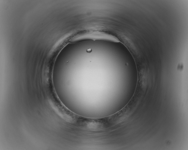 X0000112870400200908211431