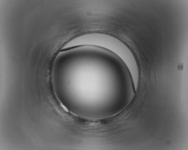 X0000112870401200908211431