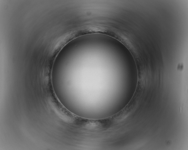 X0000112870402200908211431