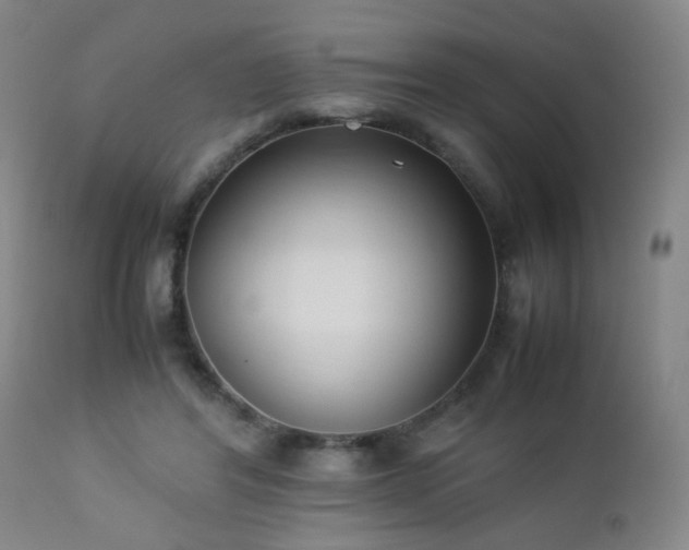 X0000112870404200908211431