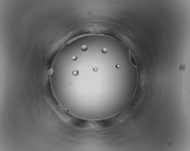 X0000112870405200908211431