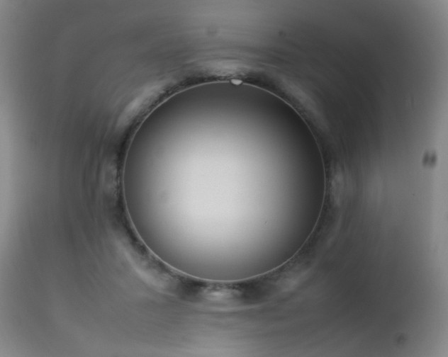 X0000112870407200908211431