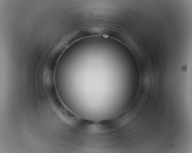 X0000112870408200908211431
