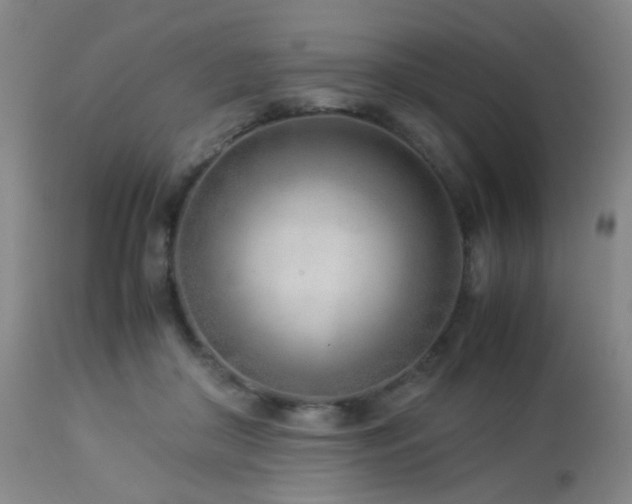 X0000112870410200908211431
