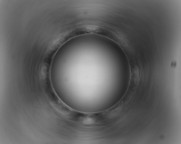 X0000112870412200908211431