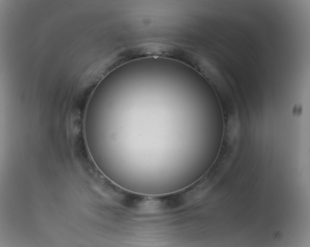 X0000112870413200908211431