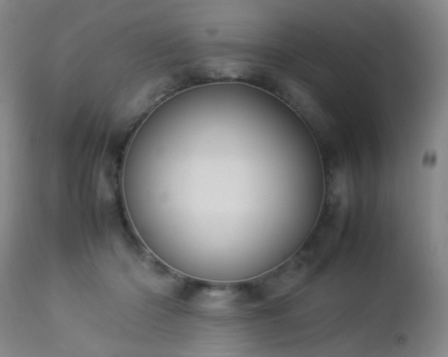 X0000112870414200908211431