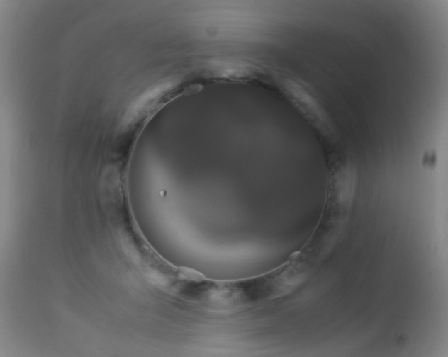 X0000112870415200908211431