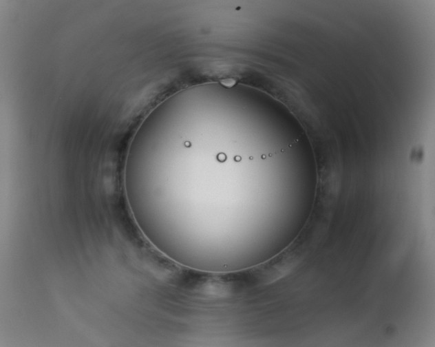 X0000112870416200908211431