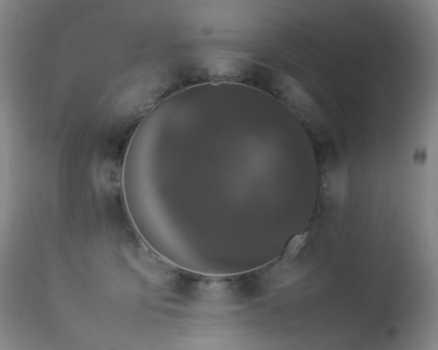 X0000112870419200908211431