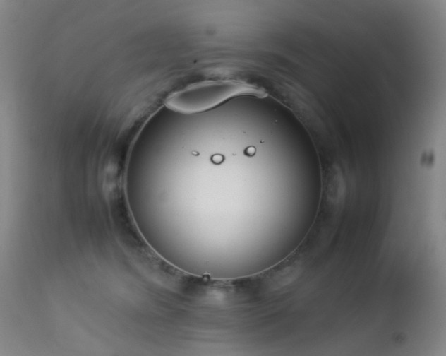 X0000112870420200908211431