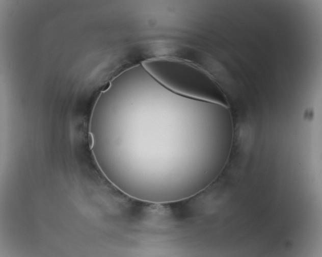 X0000112870421200908211431