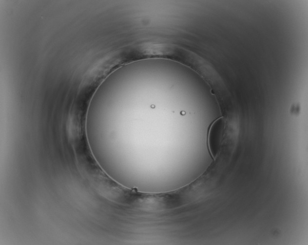 X0000112870422200908211431