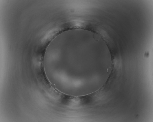 X0000112870423200908211431