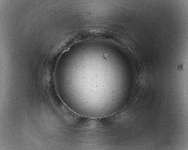 X0000112870424200908211431