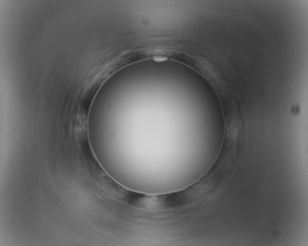 X0000112870425200908211431
