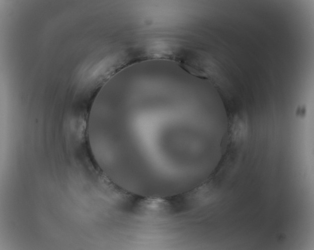 X0000112870427200908211431