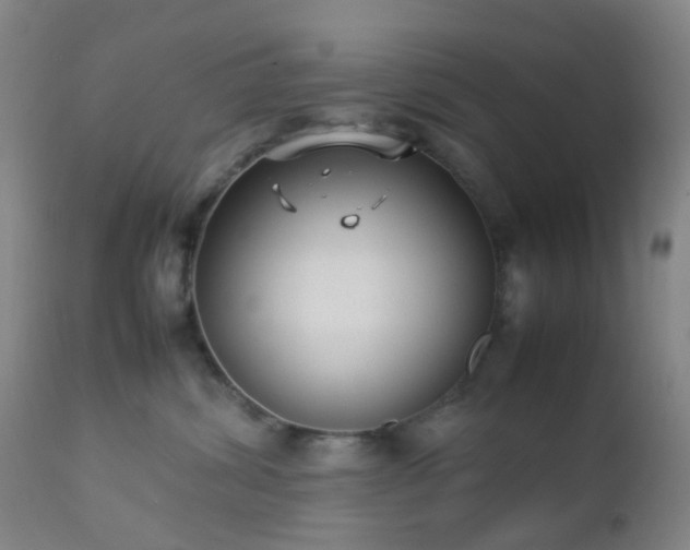 X0000112870428200908211431