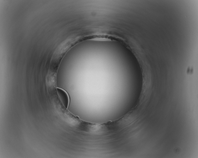 X0000112870432200908211431