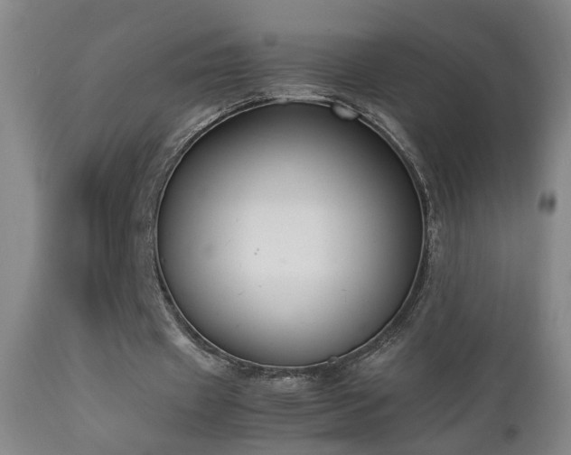 X0000112870433200908211430