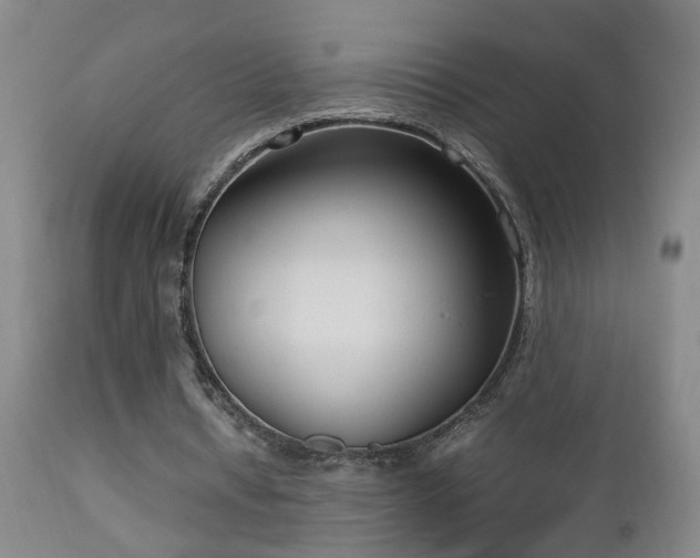 X0000112870434200908211430