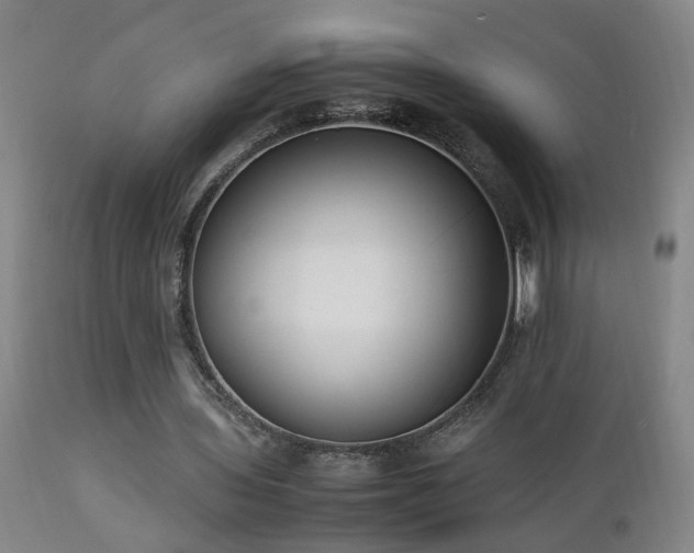 X0000112870435200908211430
