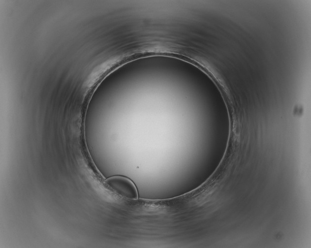 X0000112870437200908211430