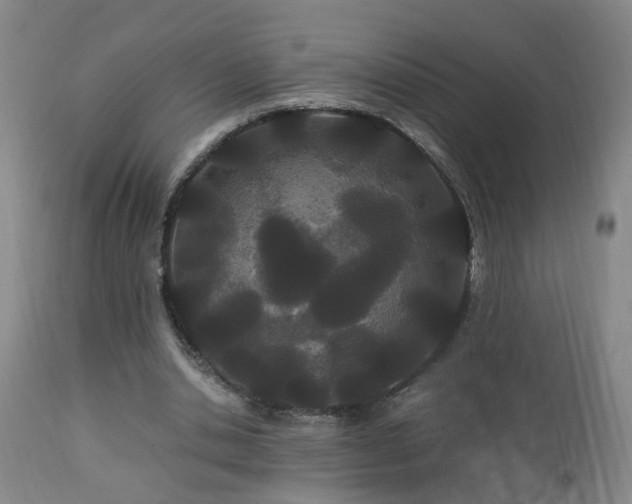 X0000112870438200908211430