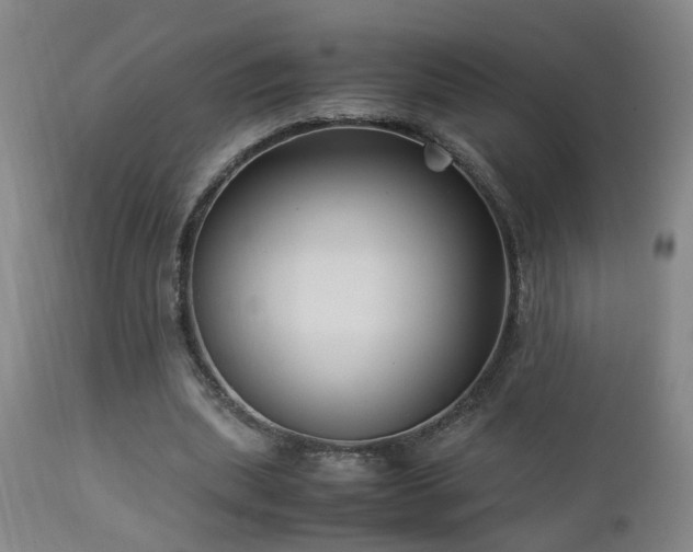 X0000112870439200908211430