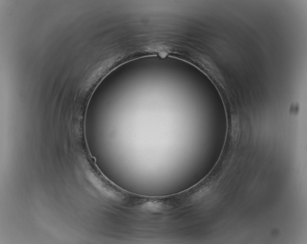 X0000112870441200908211430