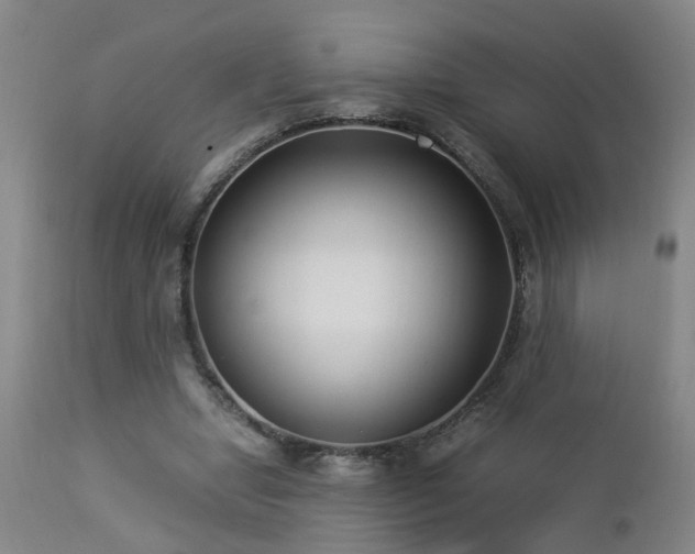 X0000112870442200908211430