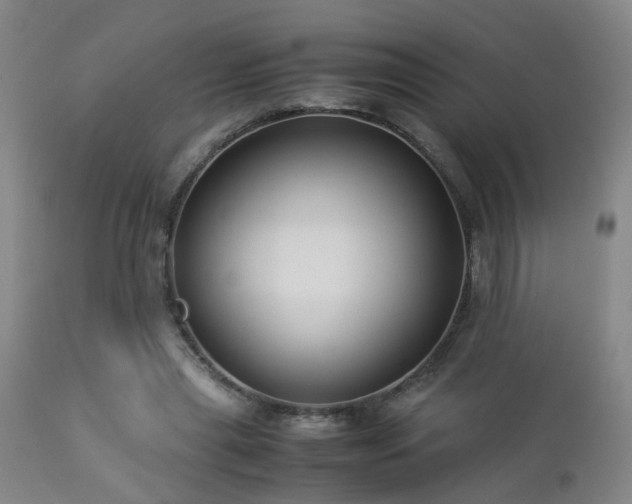 X0000112870445200908211430
