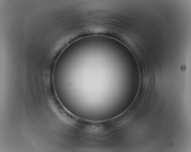 X0000112870447200908211430