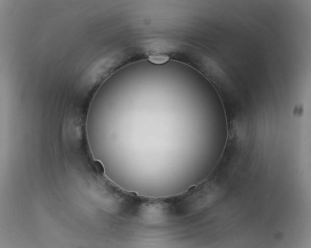X0000112870452200908211430