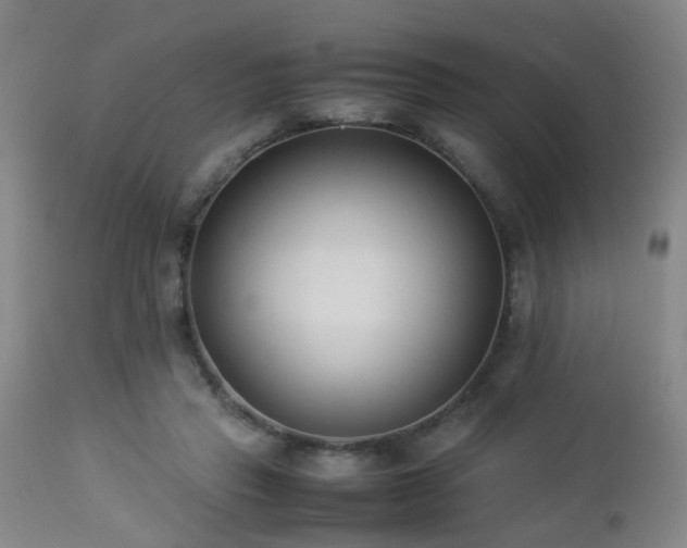 X0000112870453200908211430