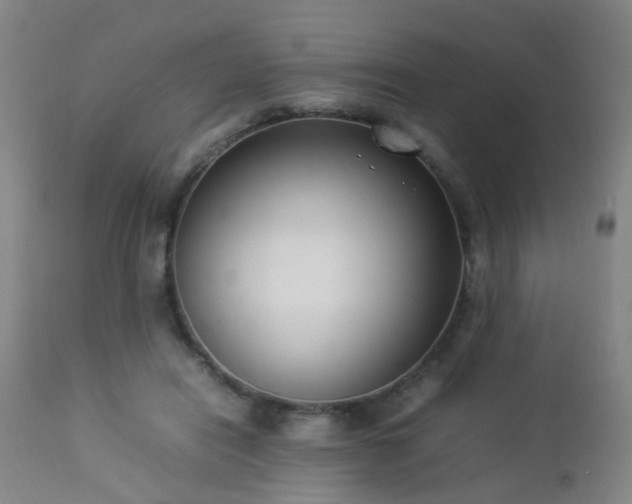 X0000112870454200908211430