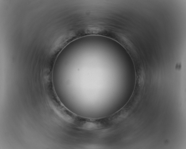 X0000112870455200908211430