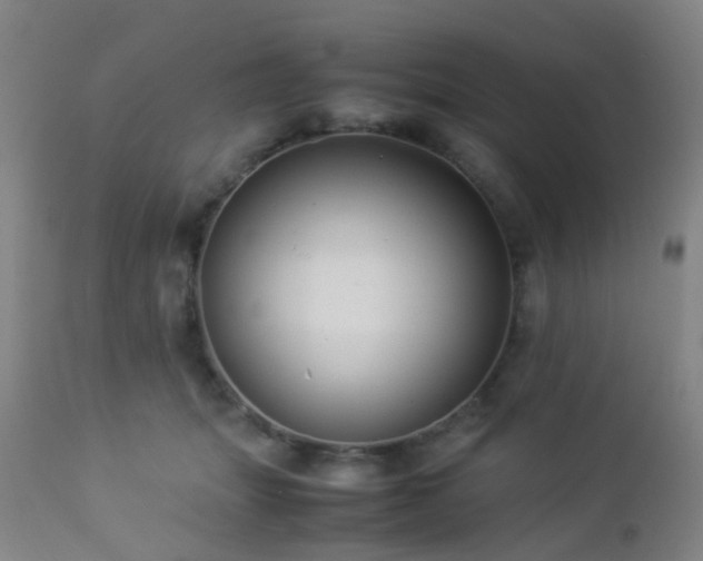 X0000112870463200908211430