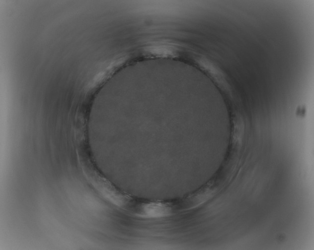 X0000112870465200908211430