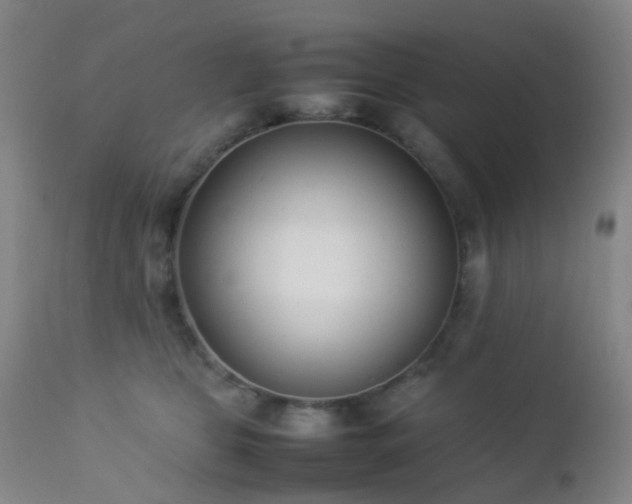 X0000112870469200908211430