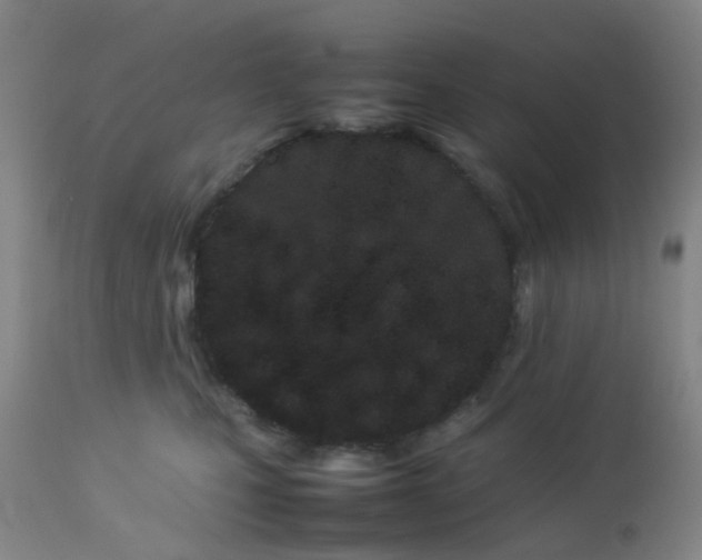 X0000112870471200908211430