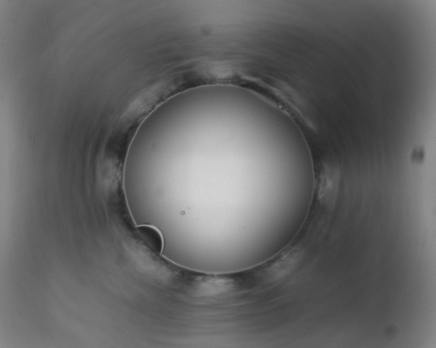 X0000112870476200908211430