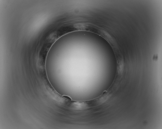 X0000112870477200908211430