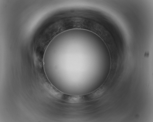 X0000112870479200908211430