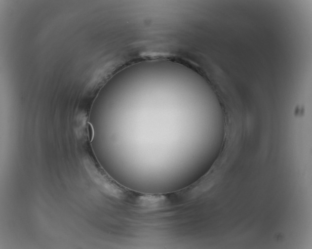 X0000112870480200908211430