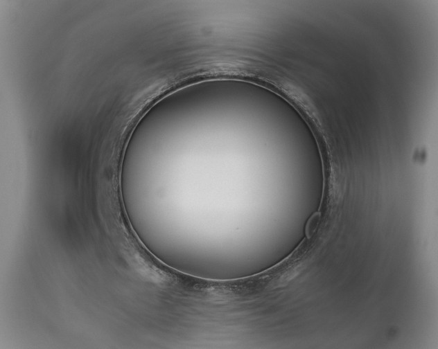 X0000112870481200908211430