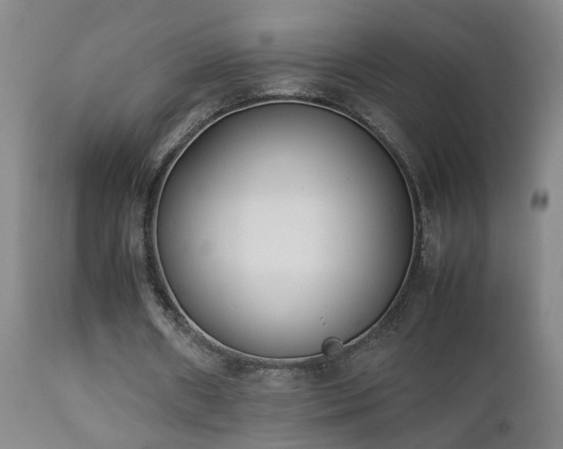 X0000112870482200908211430