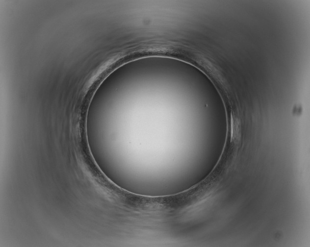 X0000112870483200908211430