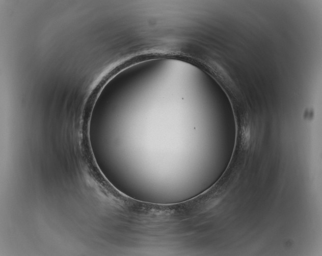 X0000112870484200908211430