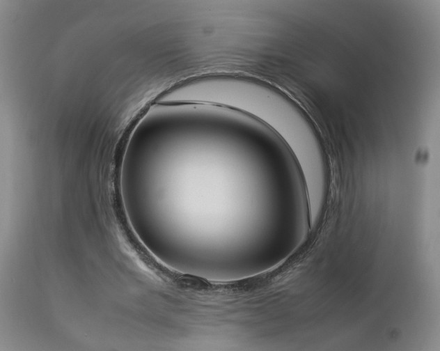 X0000112870485200908211430